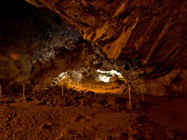 В пещере под Красноярском обнаружили уникальные антибиотики