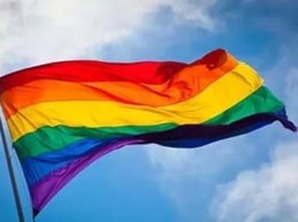 В Грузии могут провести референдум по вопросу об однополых браках