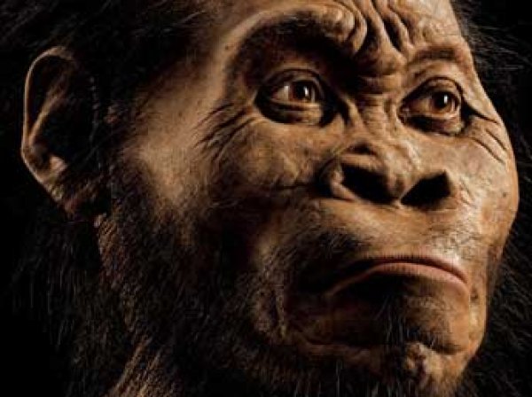 Ученые: поедание мяса сделало из обезьяны человека