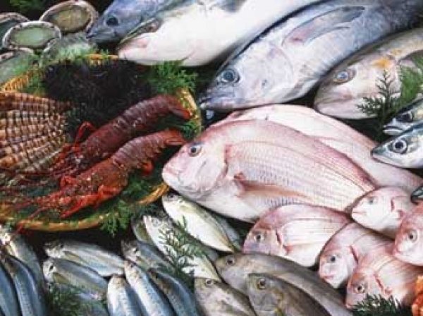Ученые рассказали, как рыба может разрушить иммунитет