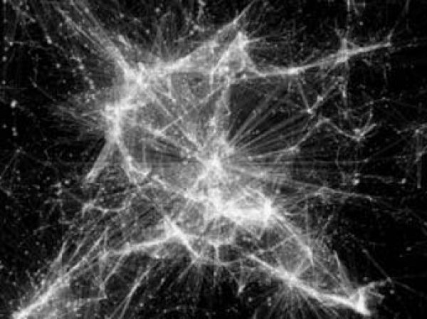 Ученые показали Вселенную "с точки зрения Бога" (видео)