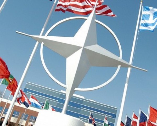 Источник в МИД: НАТО прибежали умолять Россию провести встречу