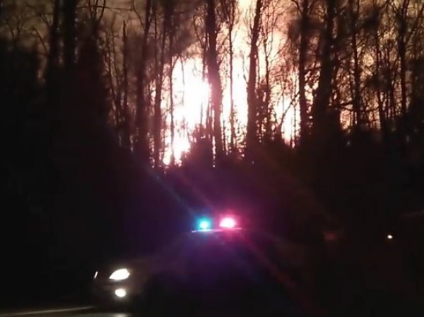 Пожар в Калужской области 29 апреля 2016 сняли на ВИДЕО