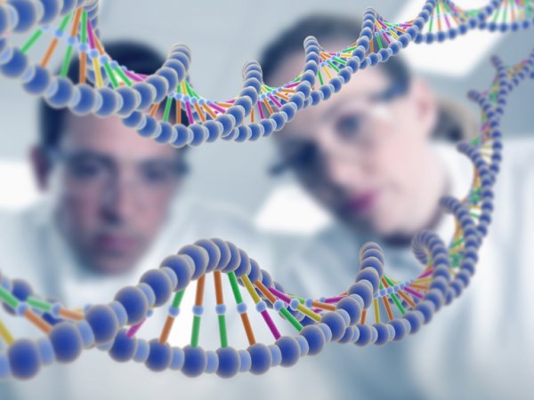 Ученые нашли "гены смерти", сокращающие жизнь на четыре года