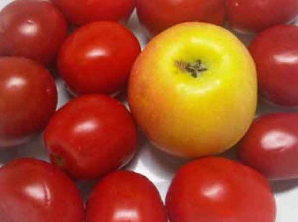 Ученые: томаты помогут в борьбе с радиацией, а яблоко продлит жизнь