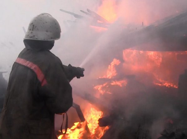 Пожар в Ленинградской области 7 апреля 2016 унес жизни шести человек (ФОТО)