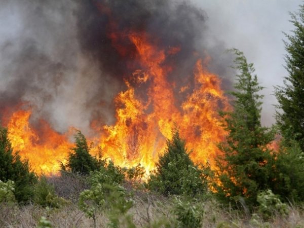 Лесные пожары в Амурской области 2016 разрослись до устрашающих размеров (ВИДЕО)