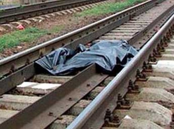В Подмосковье поезд насмерть сбил подростка, пытавшегося спасти собаку