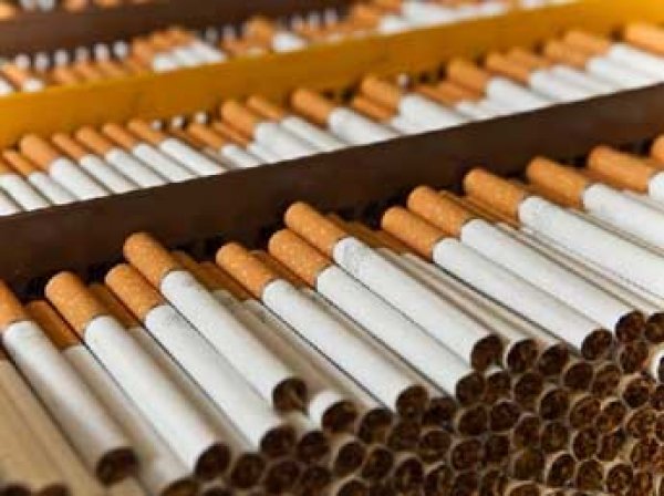Эксперты назвали самую подделываемую в России марку сигарет