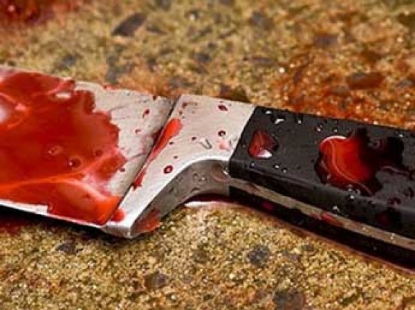 В убийстве 14-летней девочки в Москве подозревают подростка: он гнался за ней 16 этажей