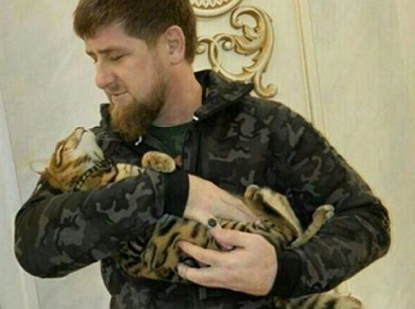 Кадыров ответил американскому комику на шутку о розыске его кошки