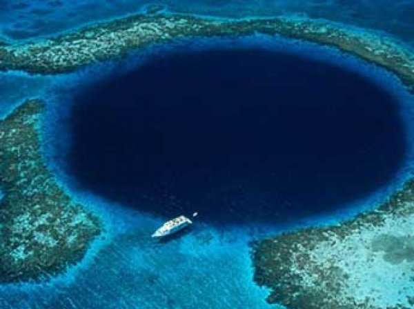 Видео из Марианской впадины транслировали онлайн в Сети