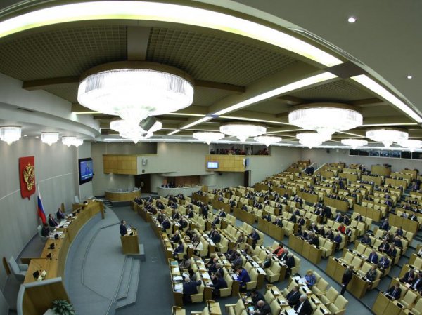 Депутаты Госдумы одобрили новые ограничения на выезд из России