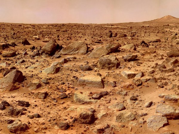 На Марсе нашли "череп йети" (ФОТО)