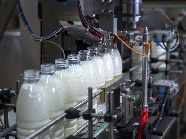СМИ выяснили, как на российских заводах тайком добавляют гипс и известь в молоко