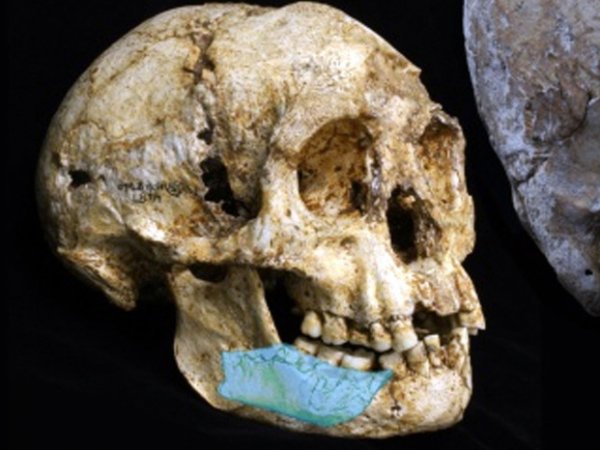 Ученые нашли в Индонезии останки предка "хоббита"