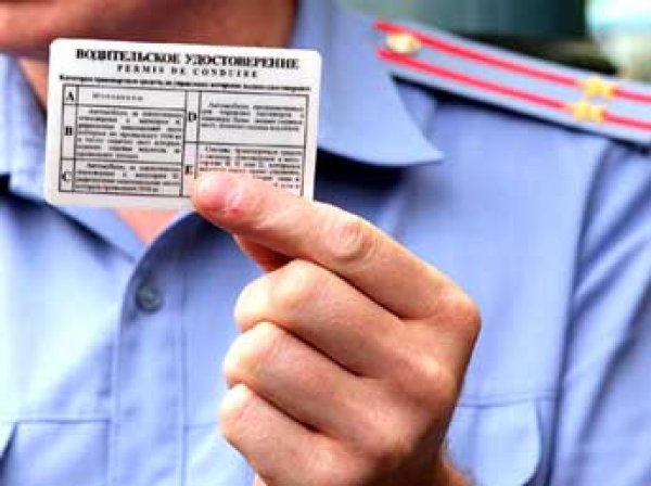 В России можно будет обменять водительские права без визита в ГИБДД