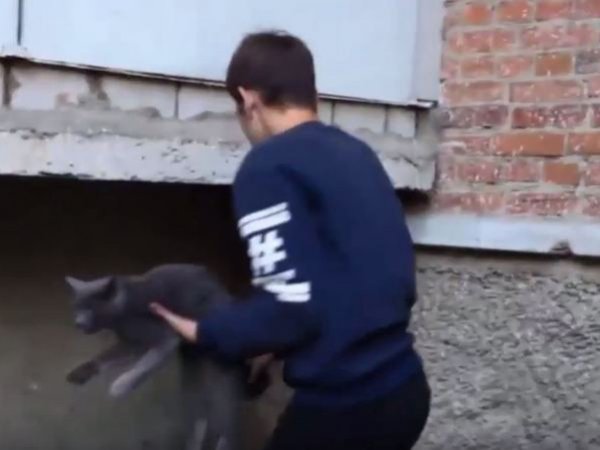 Одноклассники избили подростка из Владимира, жестоко убившего кота