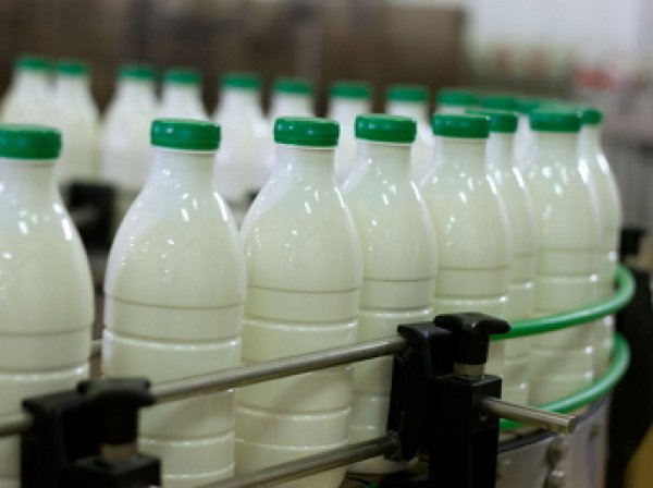Россельхознадзор: россияне пьют молоко с мелом, гипсом и известью