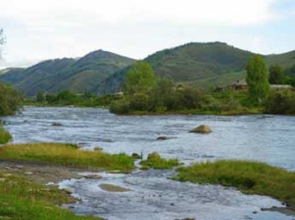 В реке на Алтае утонули трое подростков, а неделей ранее – еще двое