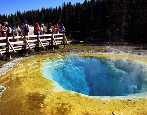 В США мужчина заживо сварился в гейзере Йеллоустонского парка