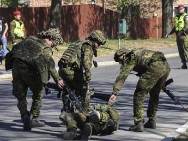 Грузия пропустит учения НАТО «Анаконда» из-за ветрянки