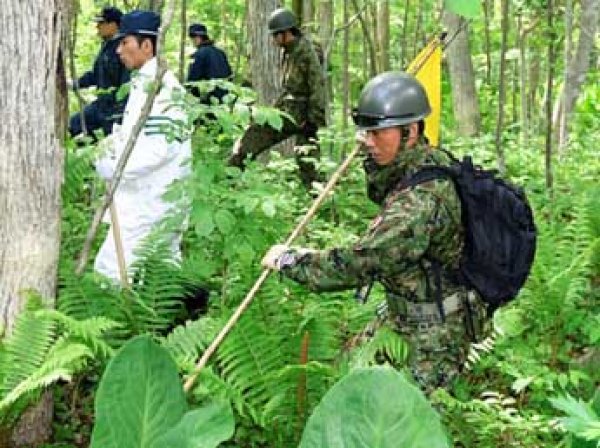 В Японии брошенный родителями в лесу мальчик найден живым в лесу через 7 дней