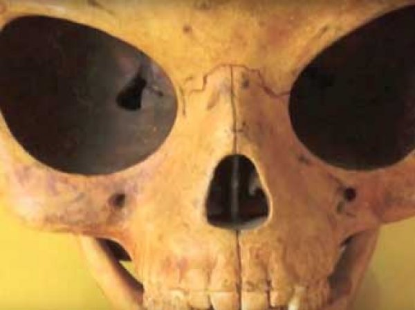 В Дании нашли загадочный череп пришельца с огромными глазницами