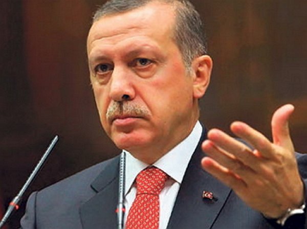Турецкий журналист раскрыл секрет извинений Эрдогана