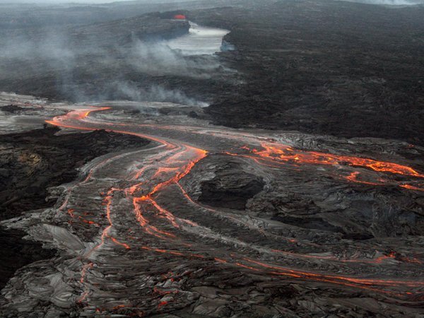Ученые узнали, как выглядела первая жизнь на Земле
