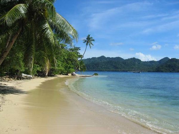 На пляже Фиджи нашли отрезанную человеческую голову