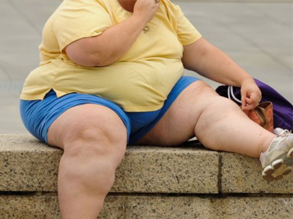 Ученые нашли главную причину ожирения