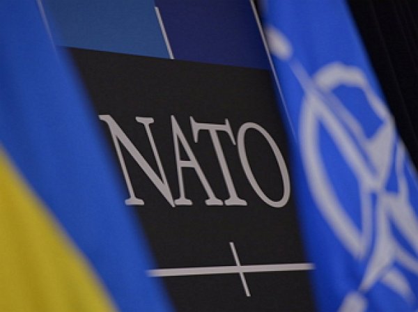 США огласили условия вступления Украины в НАТО