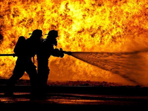 Рослес потратил 76 млрд рублей на закупку бесполезного для тушения пожаров оборудования