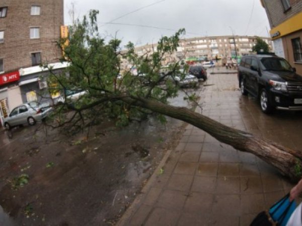 Ураган в Брянске 2 августа 2016 оставил без света 585 домов (ФОТО, ВИДЕО)