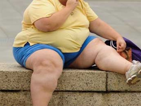 Ученые нашли неожиданную причину массового ожирения