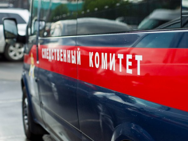 Стали известны подробности жуткого убийства под Екатеринбургом, где таксист обезглавил девушку