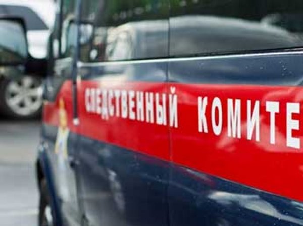 В Петербурге в собственном доме застрелили директора гимназии