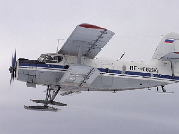 Под Новосибирском пропал самолет Ан-2. МЧС ведет поиски