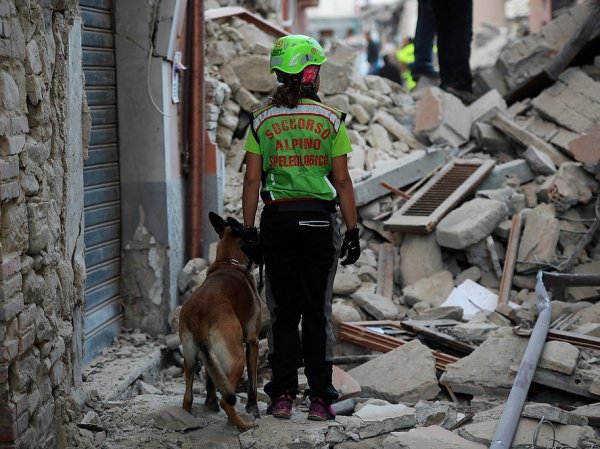 Землетрясение в Италии 24 августа 2016: разрушен город Аматриче, погибли 14 человек (ФОТО, ВИДЕО)