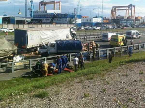 Крупное ДТП в Петербурге: грузовики с военными попали в ДТП на КАД, 8 пострадавших