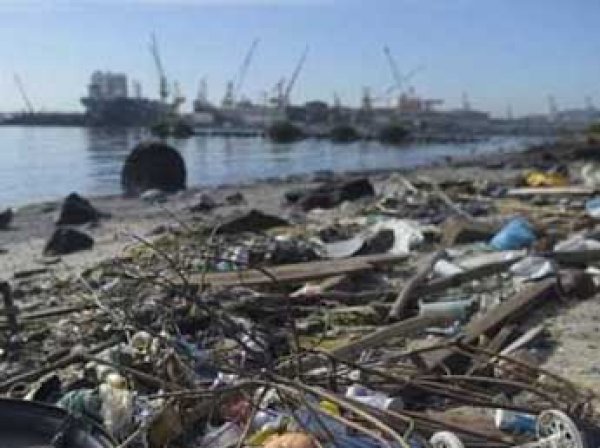 СМИ: олимпийцам в Рио придется плавать в "токсичном бульоне" (ВИДЕО)