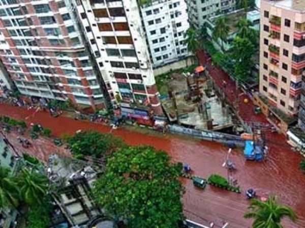 После Курбан-байрама в Бангладеш по улицам потекли реки из крови жертвенных баранов (ФОТО)