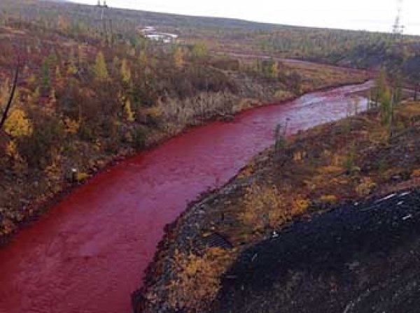 В Норильске река окрасилась в кроваво-красный цвет (ФОТО)