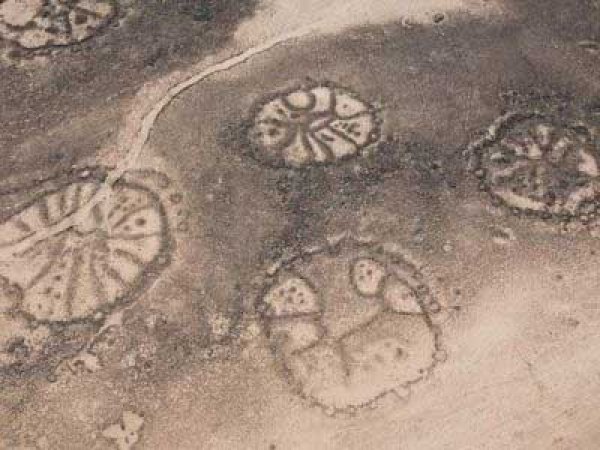 Геологи нашли в Перу рядом с древним индейским городом странные круги (ФОТО)