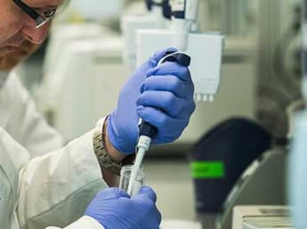Сибирские ученые успешно применили молибден в лечении рака