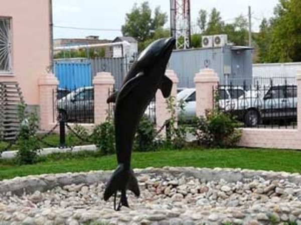 Из колонии для пожизненно осужденных «Черный дельфин» впервые в истории сбежал заключенный