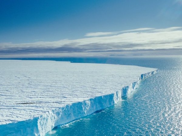Ученые нашли подо льдами Антарктиды внеземную жизнь