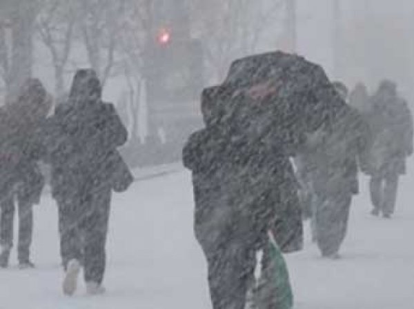 Метеорологи США: Россию парализует жуткий арктический холод