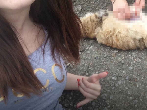 Живодерки из Хабаровска: волонтеры нашли сообщницу двух студенток, издевавшихся над животными (ФОТО)
